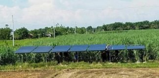 Adopting solar-powered irrigation system to boost agriculture in Nigeria