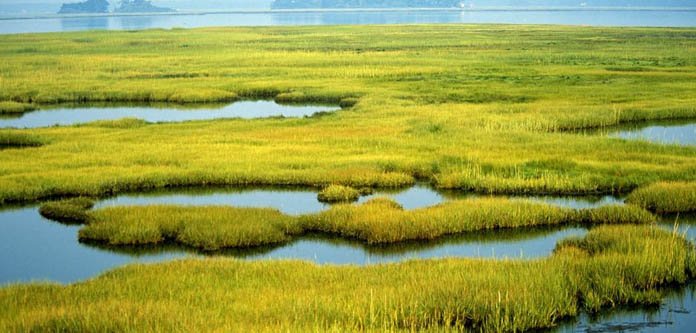 Wetlands protection needed for clean water rights