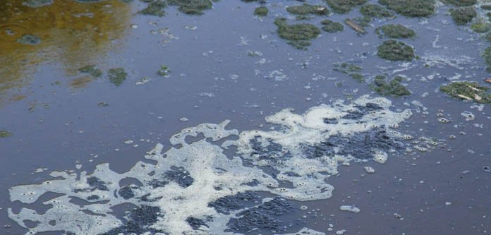 effluent on Lake Victoria effluent on Lake Victoria