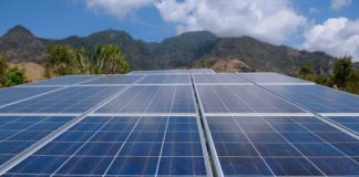 Kenyan utility KTDA rolls out tender for small solar parks Kenyan utility KTDA rolls out tender for small solar parks
