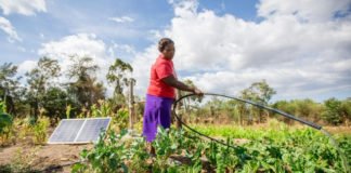 Bboxx, EDF, SunCulture team up with Togo to accelerate access to sustainable solar-powered farming Bboxx, EDF, and SunCulture team up with Togo to accelerate access to sustainable solar-powered farming