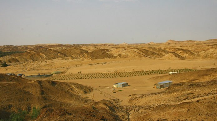 Grundfos Pump Supports Jojoba Growers Grundfos-Pump-Supports-Jojoba-Growers in Namibia