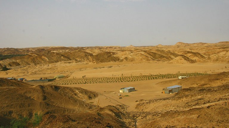 Grundfos-Pump-Supports-Jojoba-Growers in Namibia