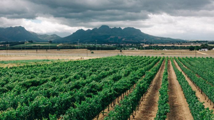 How Solar Pumps Benefit Everyday Life In Africa