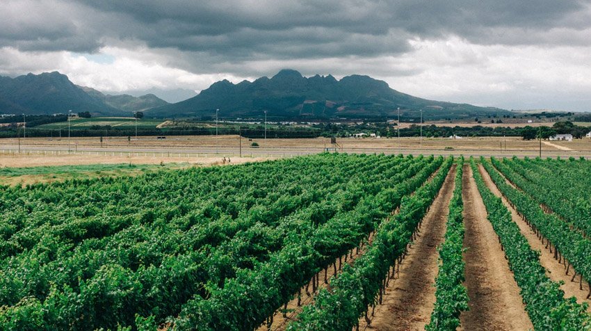 How Solar Pumps Benefit Everyday Life In Africa