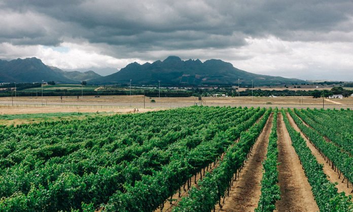 How Solar Pumps Benefit Everyday Life In Africa How Solar Pumps Benefit Everyday Life In Africa