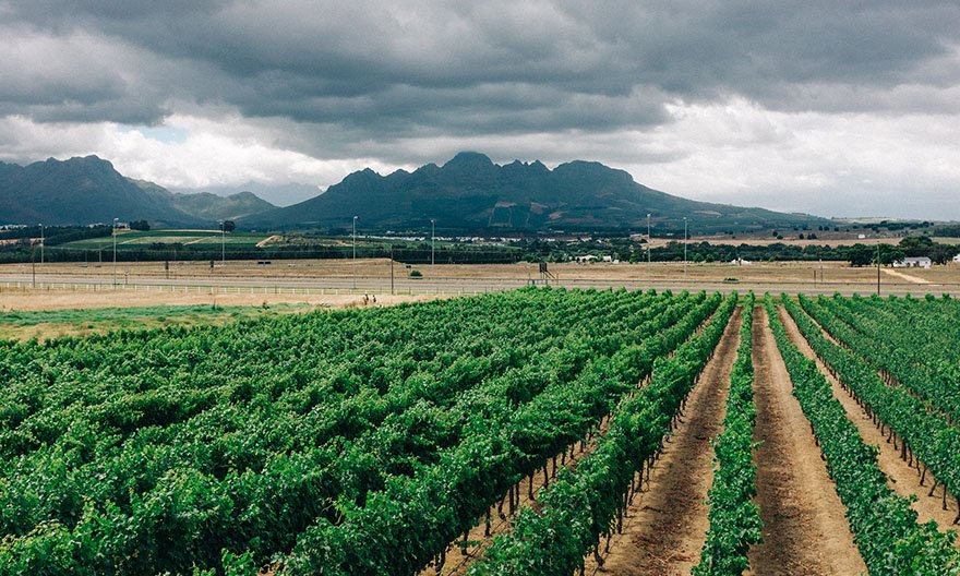 How Solar Pumps Benefit Everyday Life In Africa