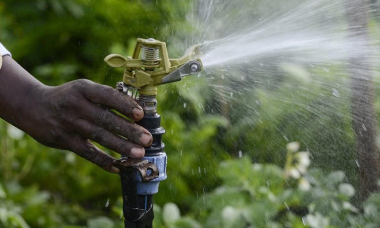 Partners set to scale access to solar-powered irrigation solutions in Senegal