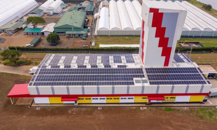 The Role of Special Economic Zones and Industrial Parks in the Manufacturing Industry