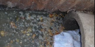 Tanzania to upgrade Mwanza Sewerage System Tanzania to upgrade Mwanza Sewerage System