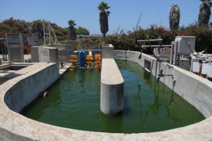 De Nora joins phase four of Tubli Sewage Treatment Plant expansion