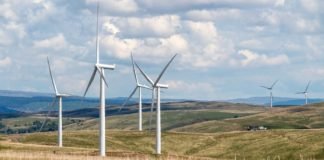 50 MW wind farm to be set up in Namibia 50 MW wind farm to be set up in Namibia