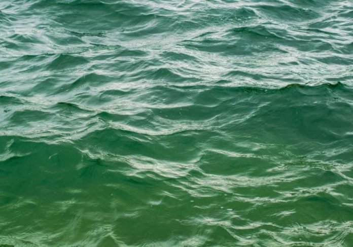 Chad launch tender for pumping and drinking water plants in Kariari