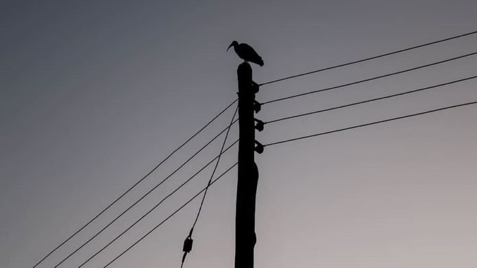 Kenya Power kicks off Rapid Results Initiative