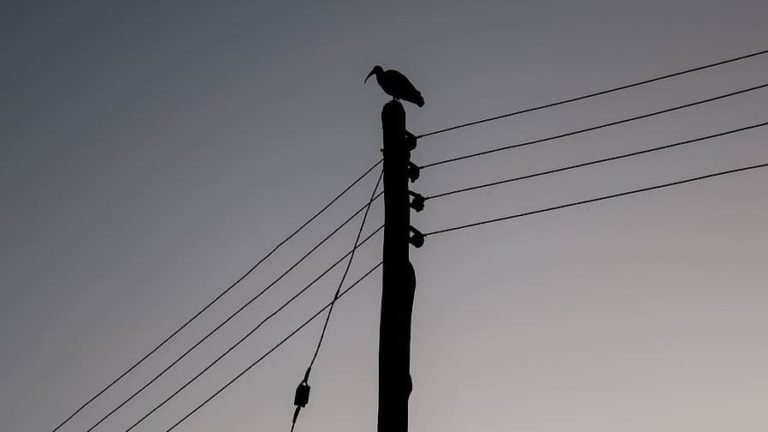 Kenya Power kicks off Rapid Results Initiative
