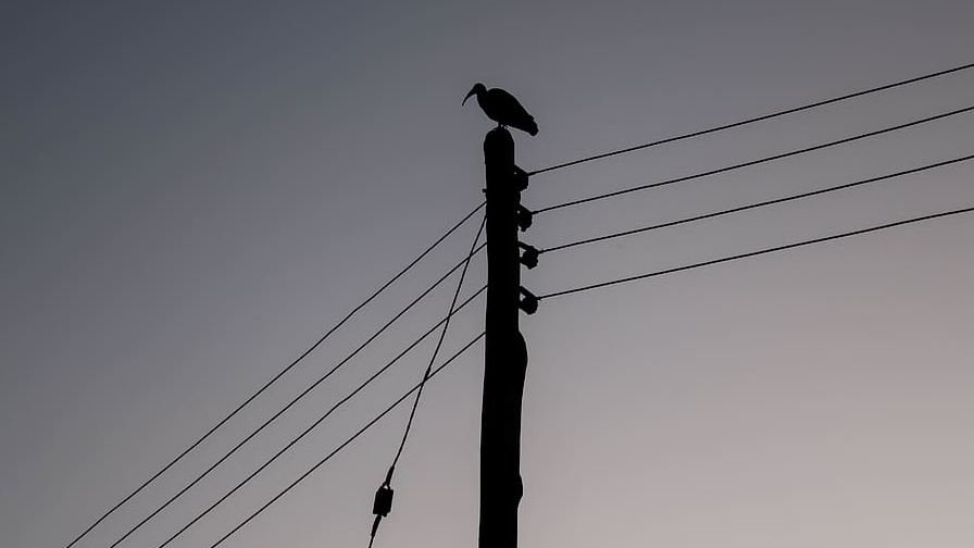 Kenya Power kicks off Rapid Results Initiative