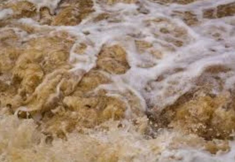 Morocco to receive US $110M to boost water, forestry sector