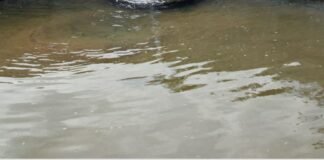 Tanzania to receive US $21M green bond for water project Tanzania to receive US $21M green bond for water project