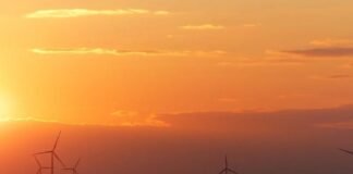 Toyota unveils joint venture to spearhead renewable energy in Africa Toyota unveils joint venture to spearhead renewable energy in Africa