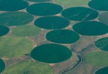 Saudi Arabia’s Agricultural Revolution: Turning the Desert into a High-Tech Farming Hub & Lessons for Africa Saudi Arabia’s Agricultural Revolution