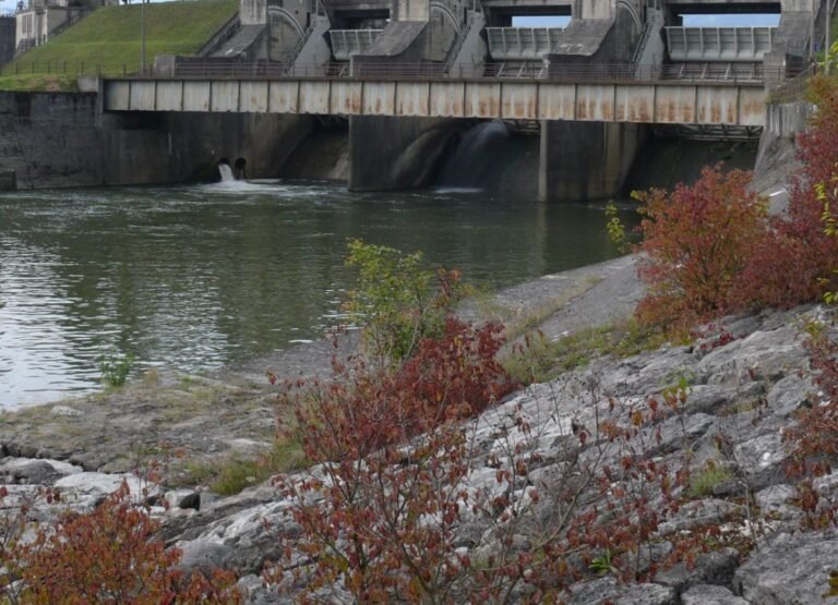 EDF ink deal to develop Volobe hydroelectric project in Madagascar