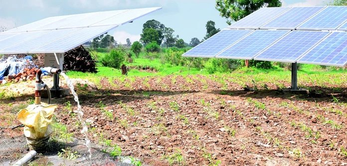 South Africa renewable energy solar panels powering water pumps in agriculture
