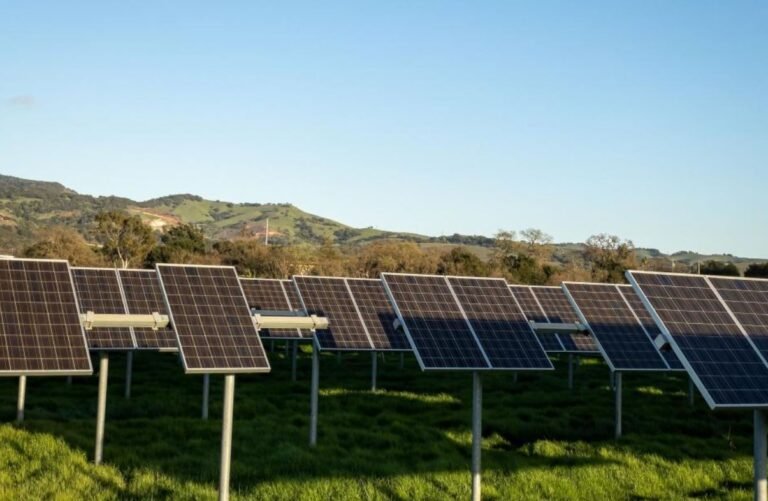 Egypt launches US $200M solar manufacturing complex in Ain Sokhna