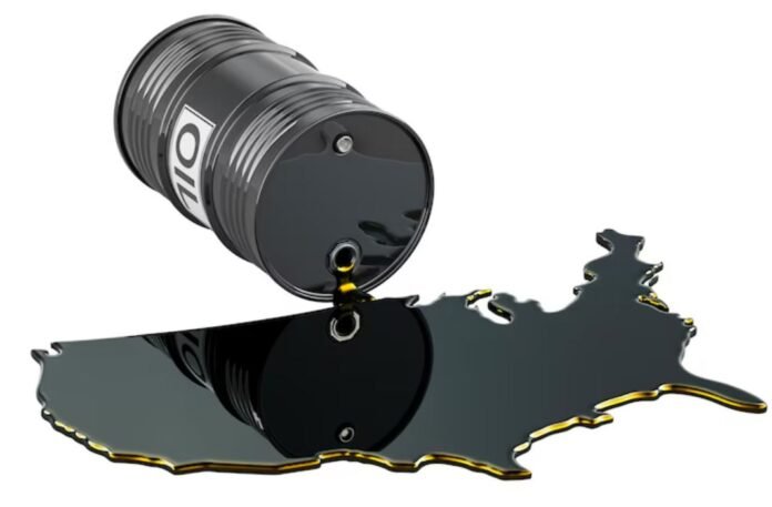 Nigeria to enforce ‘drill or drop’ policy to revive oil sector