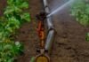 Irrigation